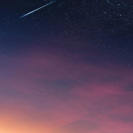 Deep Dive into Purpose, Health, Relationships