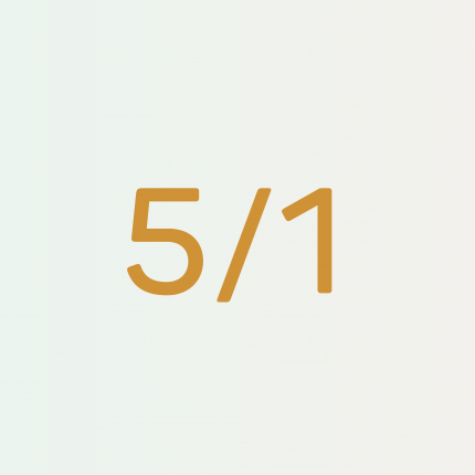 Profile 5/1