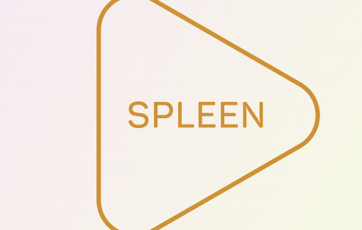 Splenic Authority for Manifestors