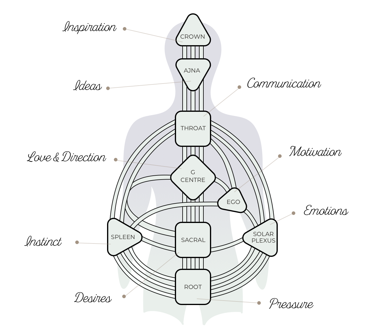 Curry Human Design Chart